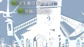 福建少兒編程項目加盟代理 打造未來科技小明星的夢幻工廠